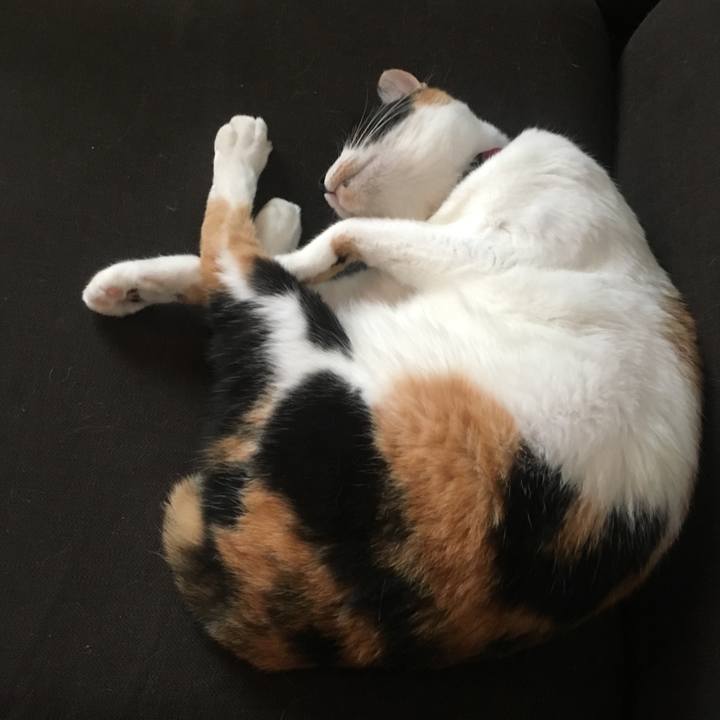 4e7617ac e2c1 4957 a5fe 426d1dfab82e