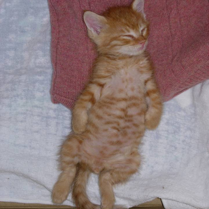 4e765670 55e7 4a58 814f 1b3b5b567f86