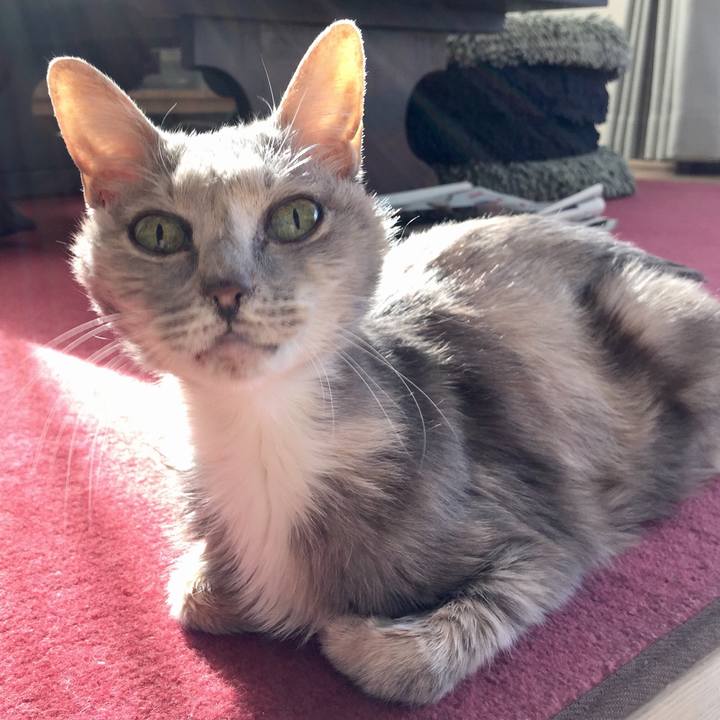 4e765eda 14d3 4e9a 8207 898985e401d1