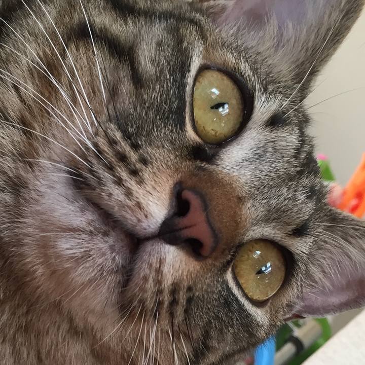 4e76729f 34d2 40aa a953 e7f3434eb055