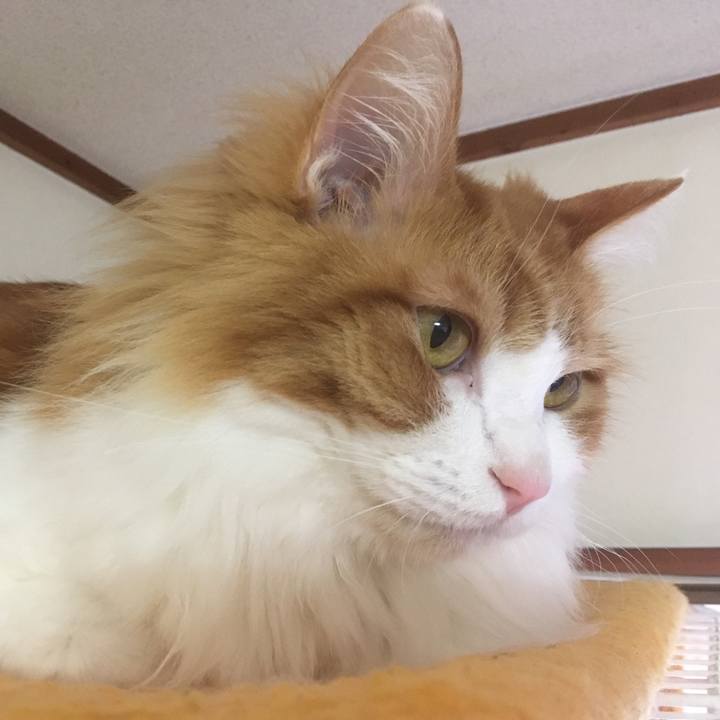 4e778d1f 6992 4850 9812 f21f1993ba56