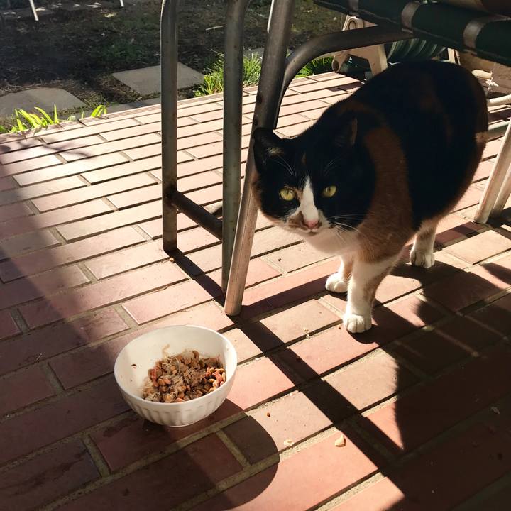 4e779323 aa77 4f3b a4d8 949e4f4f7a91