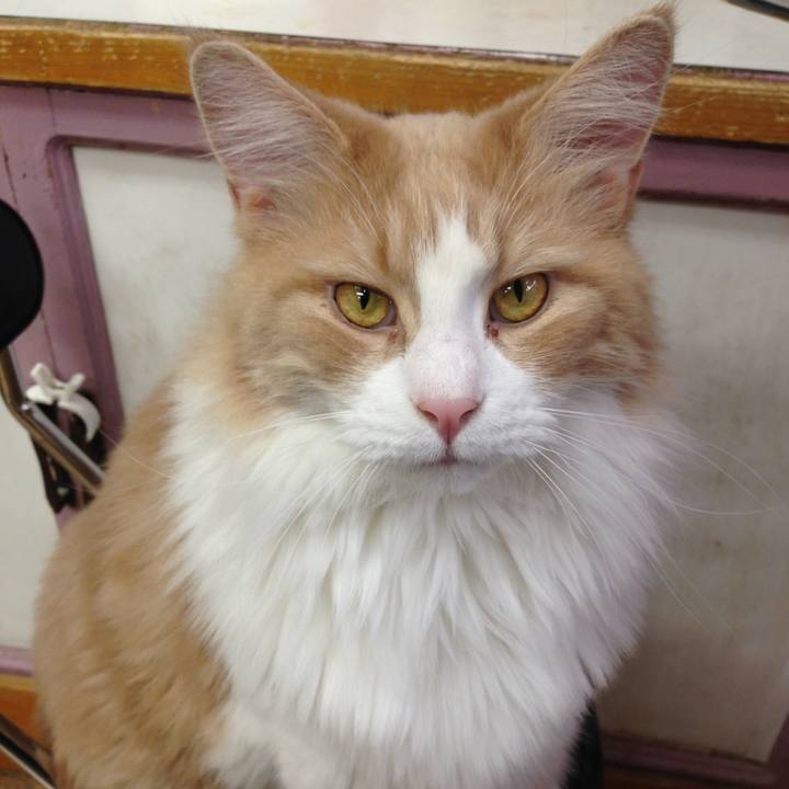 4e779c99 0f0c 467a bf45 d328bc2567fd