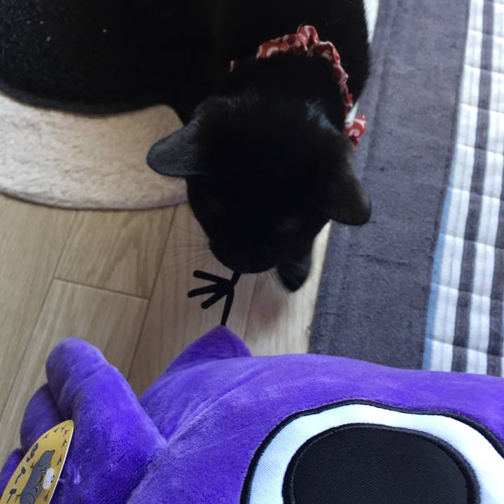 4e77d3e7 2484 4b83 959e 67f130b0bd5b