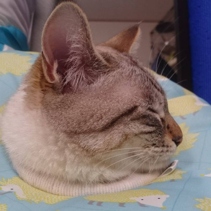 4e783016 b371 4195 ac7c a6bb2cba937e