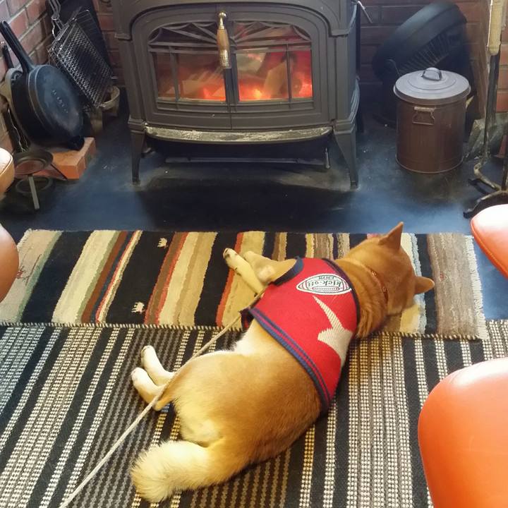 4e79ba6d a931 4615 b4df 1e3eef304537