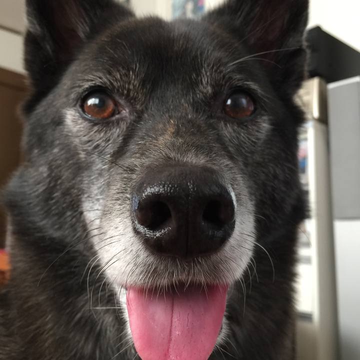 4e7acbaa b9b5 48c1 a338 ede0faa21282