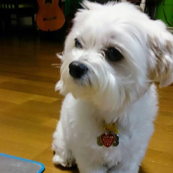 4e7b1c95 b671 44b0 b6d2 4c55f429076e