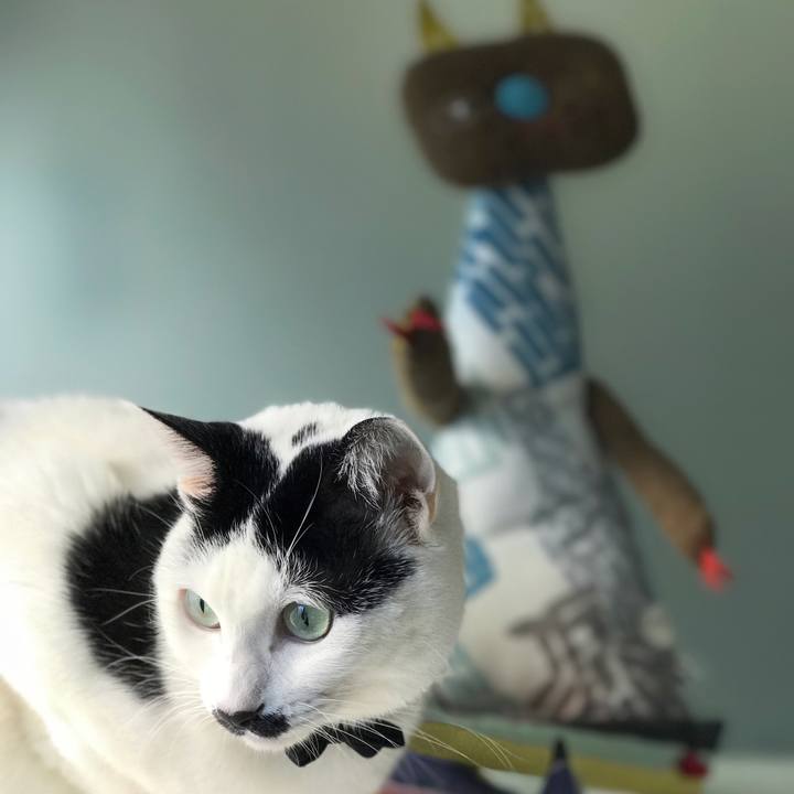 4e7cb369 0f61 437f 8358 8dd00d9fe0a0