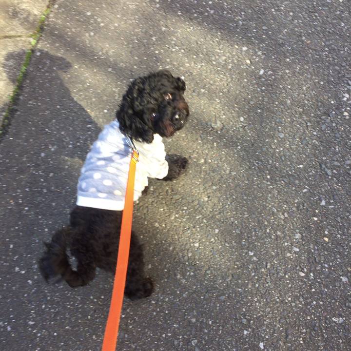 4e7d23db da6f 43c3 9388 b26cb8e1ed14