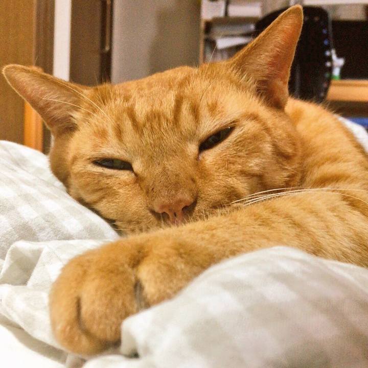 4e7e540d 5d28 48e7 8784 804a80699305