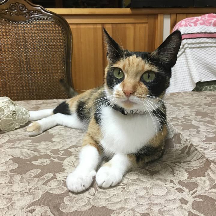 4e7e5abc 391f 40c4 805e a07b6c9531bb