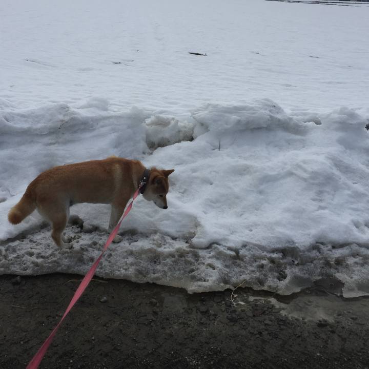 4e7f70ee faaf 41b6 9e70 ee60b9a7d77b