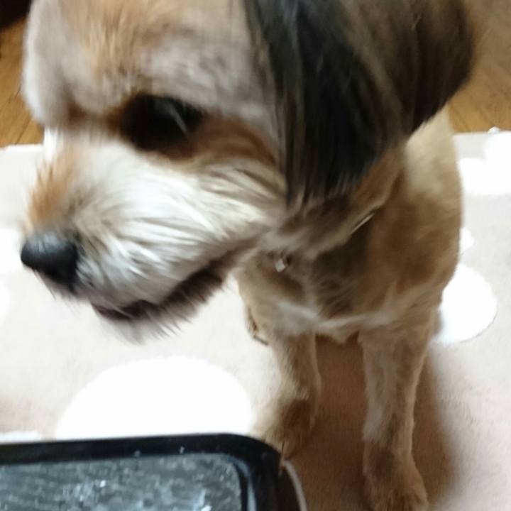 4e809f93 b0bb 4f95 a108 97a74ece8385