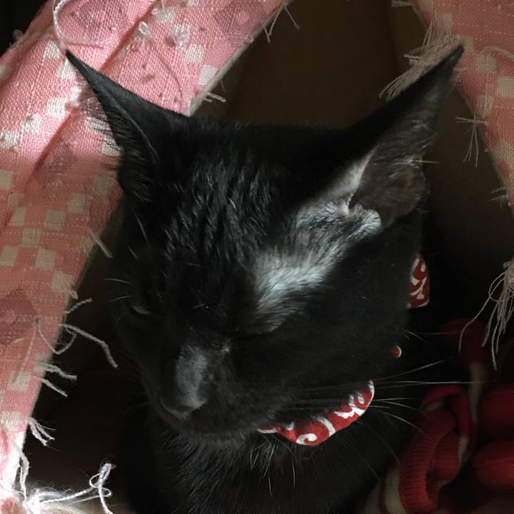 4e80d0e7 8188 4db0 9adb 35005a1a584d