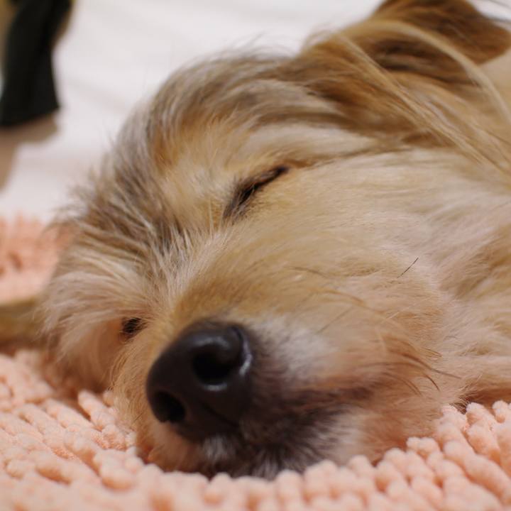 4e815c1d 7dc5 4602 ba85 11a0bc3dec2f