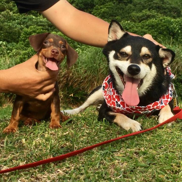 4e8168ed 4aa8 4bd9 8bd4 54a5d2464923