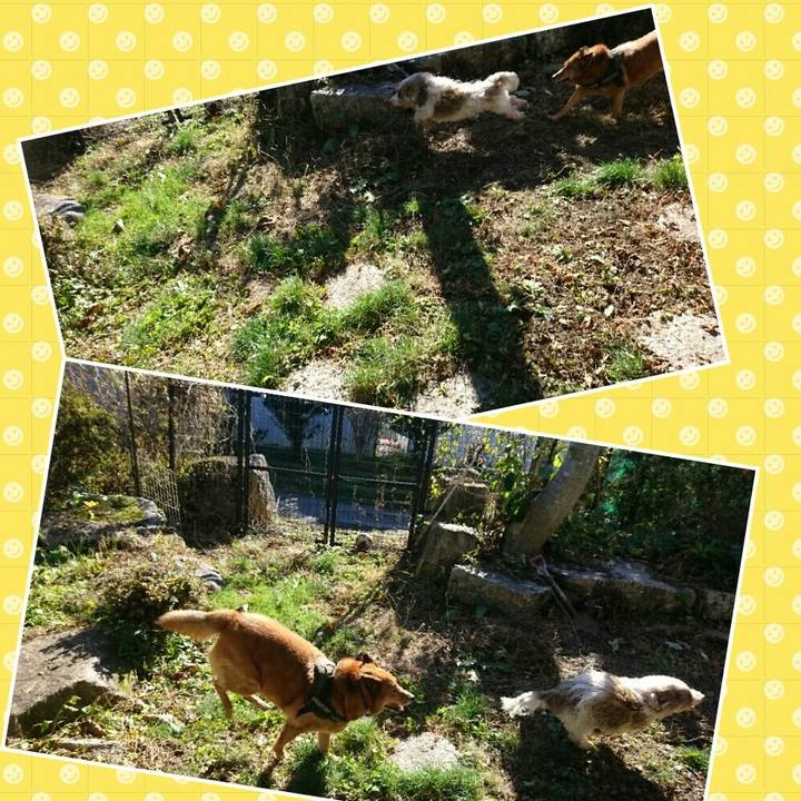 4e81c12d 294b 406c 8b88 de65d025d029