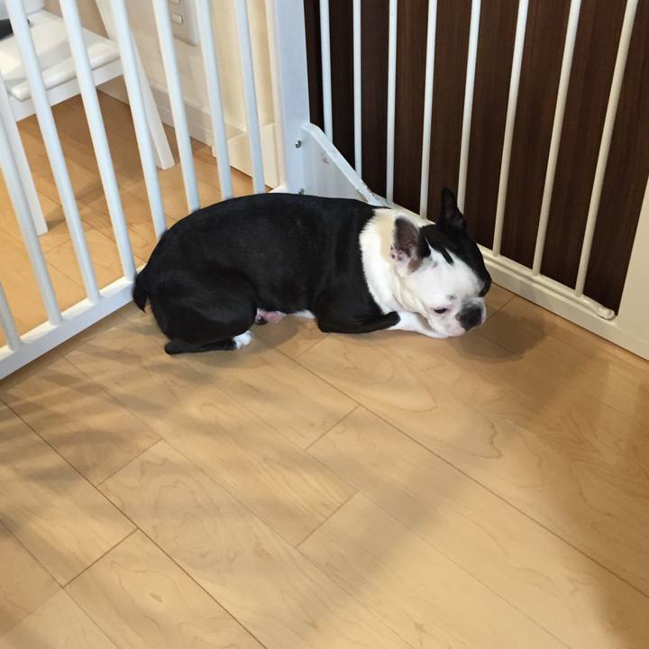 4e81d3b4 8234 4d6a 8b9c abbb6cb81ec8