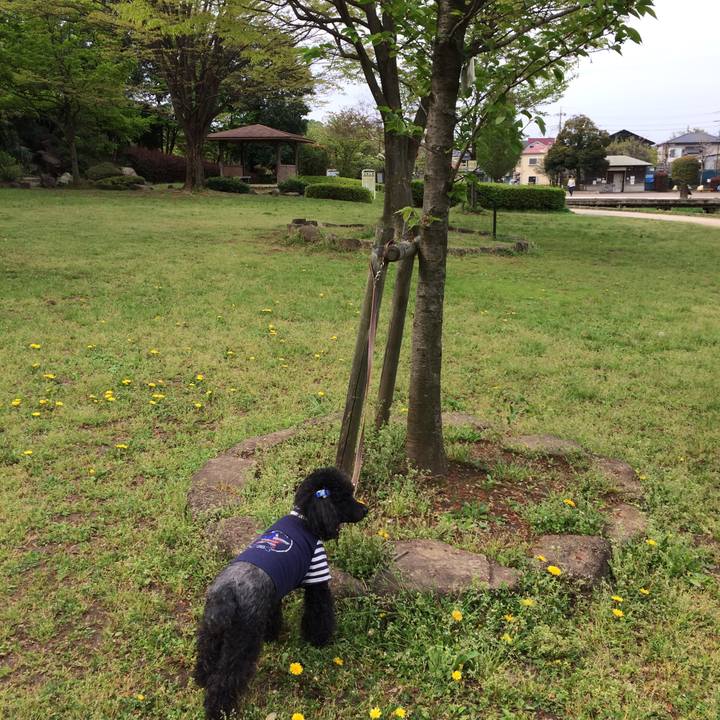 4e823cb7 f589 4f13 8fc4 2841f6e10897