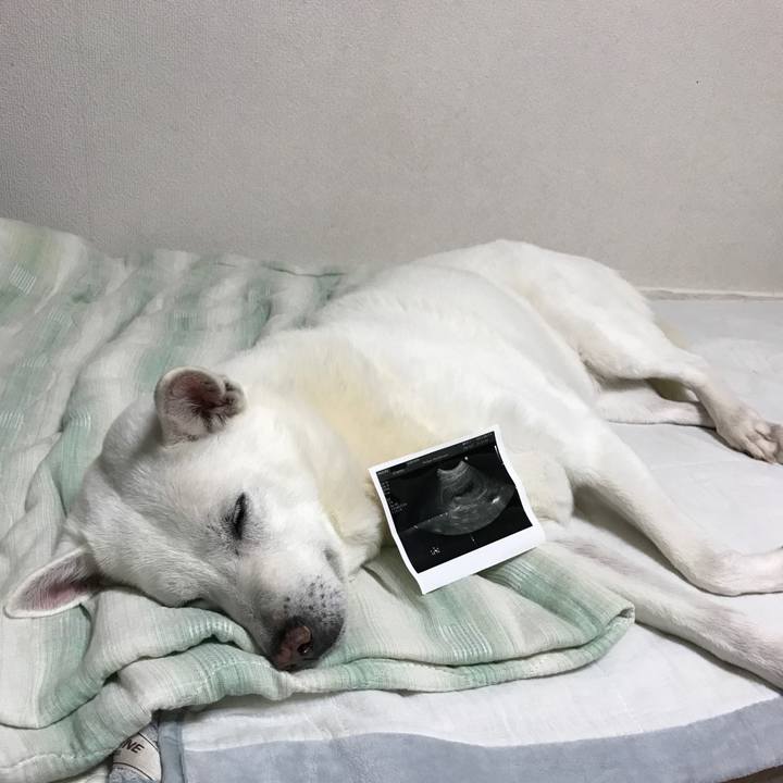 4e82c5af 20cf 4f38 8b70 fe02ba792cca