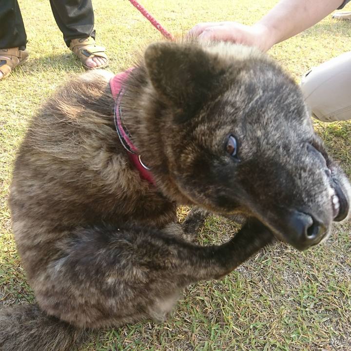 4e82c8d3 6c9e 4b44 b22d 14dd047e5893