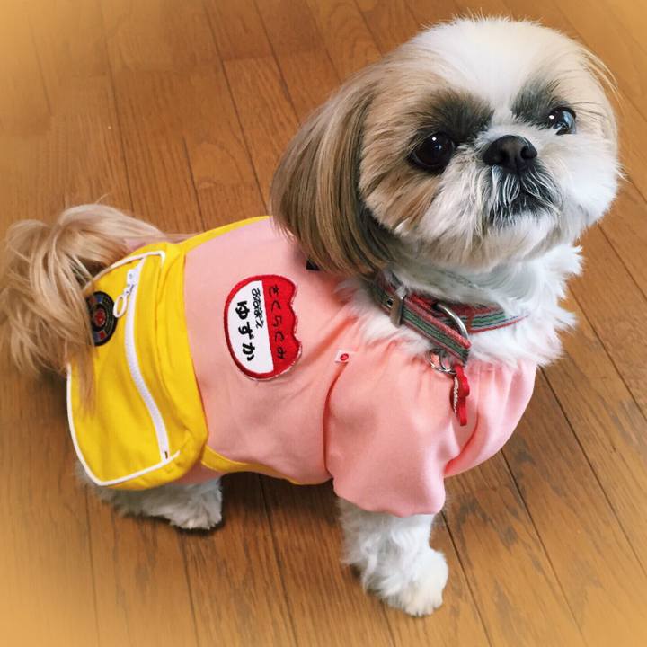 4e833f48 6d38 4e7d 8b56 9b3dcd4889d5