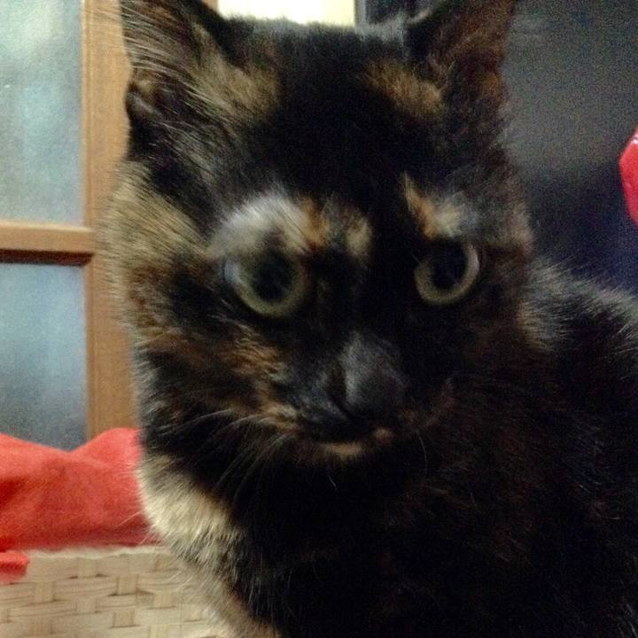 4e83aceb f985 4ec6 bc9d be2f337fab64