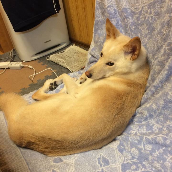 4e84bfb0 a86a 4065 9d3c 35ff382a3bd3