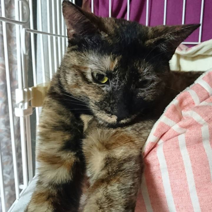 4e879b3b c952 46ac ad5c ea6e621bb2f7