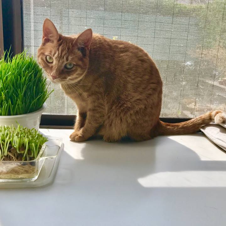 4e87a32c a884 49cf 8114 32d1a5f560ab