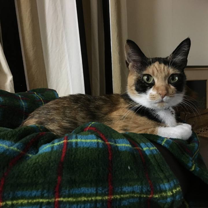 4e87ea8d 8841 4259 b9d3 22708050c9c3