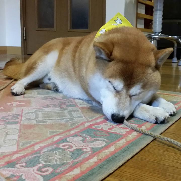 4e88de73 ad6f 43a7 ae5c 9d3303f5dc81