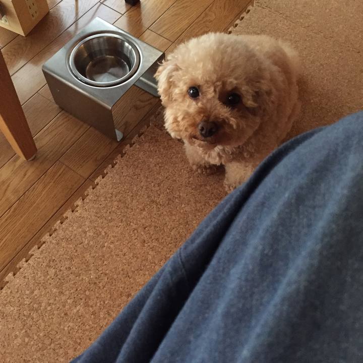 4e89a80e eb8d 4aab 9a59 d655779a4fc6