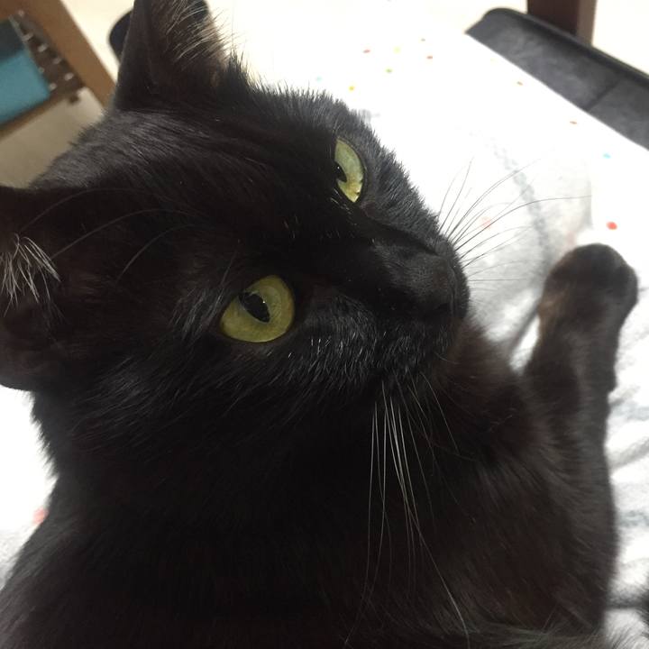 4e89bd5e 40fb 461b af97 019f9fec871f