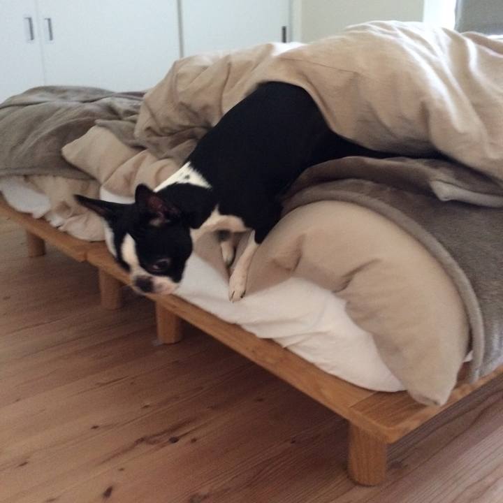 4e8b672a 0442 4e08 abeb 20e6c1d05884