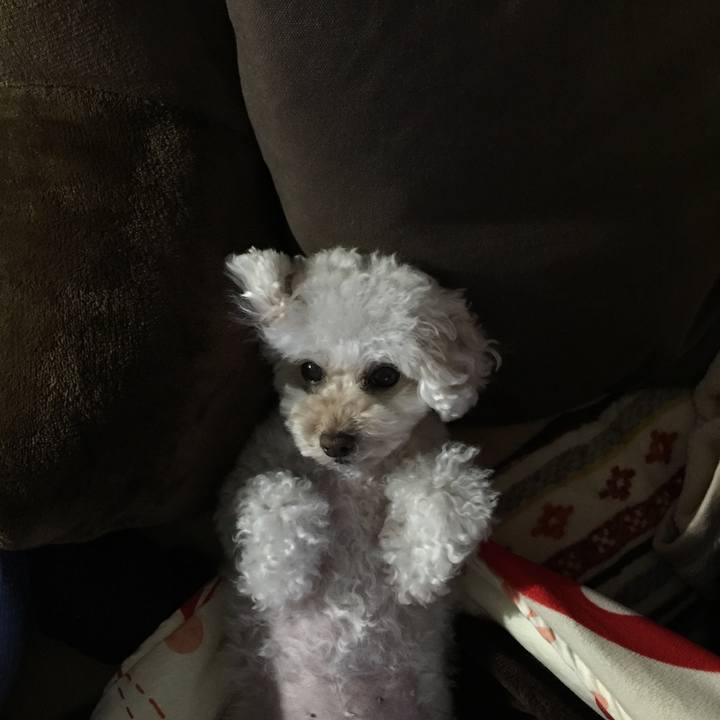 4e8b9551 18b9 4117 8202 50f6f7603fb5