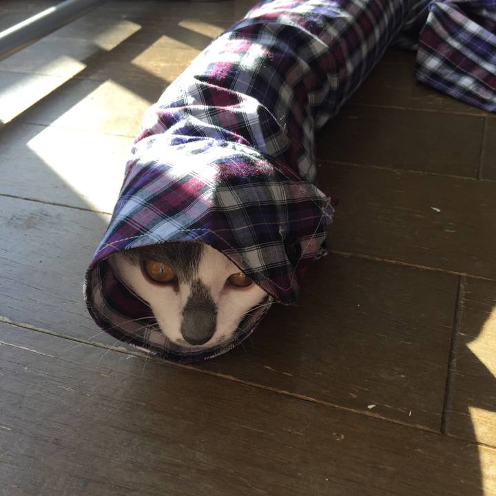 4e8bdf50 fe92 4813 be78 4d04fa7d61f8