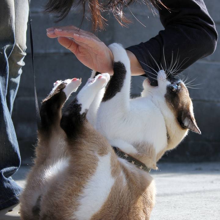 4e8c0d85 69b1 472a bdc3 a9c307299da3