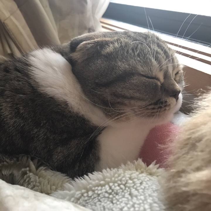 4e8d2120 98e8 4627 8336 127139e5103e