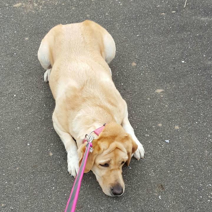 4e8d4fd2 385e 4764 b9ab ea52ee4ecda4