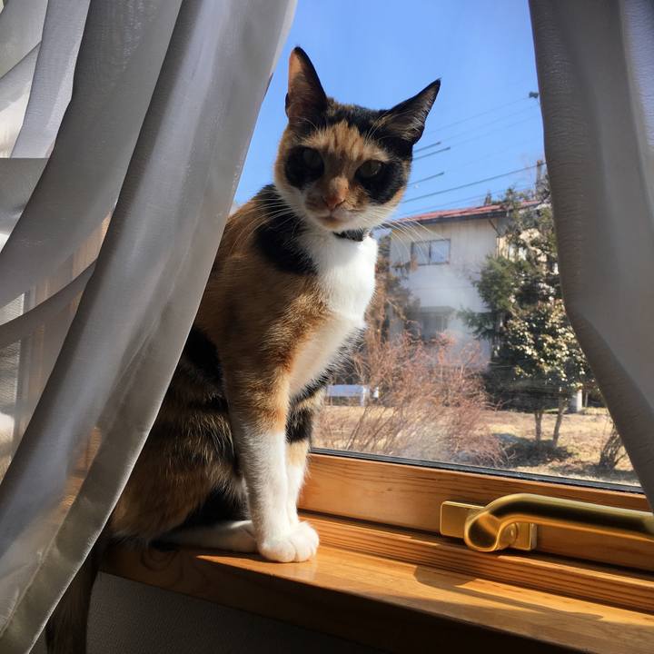 4e8deac6 27a9 4249 b5b4 7a406218a734