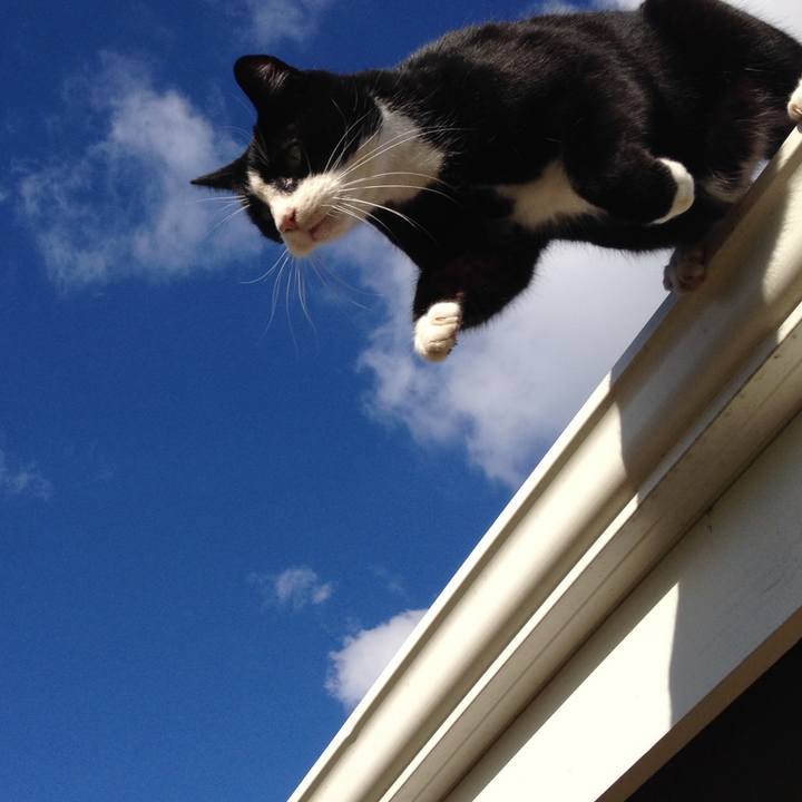 4e8e1587 7b40 4beb af39 e9d0a336be85