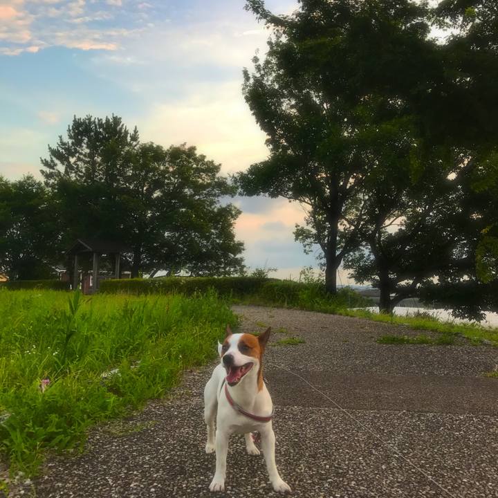 4e8eb79a b0b9 409c 9027 9cc3ede7b758