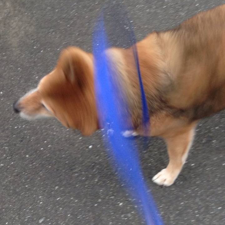 4e8eba72 0624 40a0 b4e7 ee2a142596a6