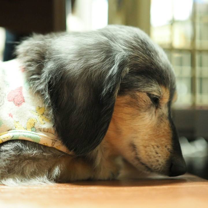 4e8edb97 8d0a 40ca 847e d2ce2aa3d57e