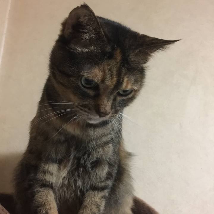 4e902191 7538 48c4 9dd4 6caa40384e35