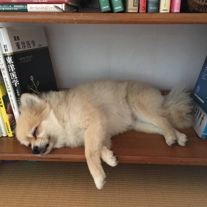 4e9044b3 f7a9 4c11 91f2 577c8523ccd7