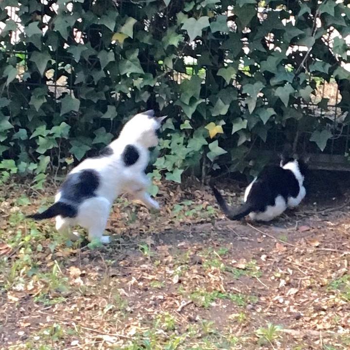 4e90c561 51f3 4c9e a2d3 efbac4e49d08