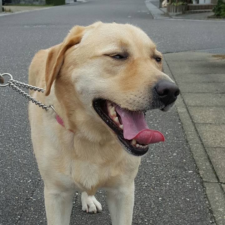 4e928f07 b045 44f5 94d3 462dcf41494f